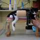 A cat receives treatment at Shanghai TCM (Traditional Chinese Medicine) Neurology and Acupuncture Animal Health Center, which specialises in acupuncture and moxibustion treatment for animals, in Shanghai, China, August 9, 2017. REUTERS/Aly Song SEARCH "ACUPUNCTURE" FOR THIS STORY. SEARCH "WIDER IMAGE" FOR ALL STORIES. - RTS1COLS